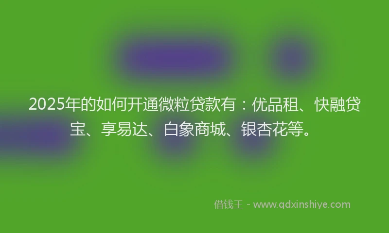 2025年的如何开通微粒贷款有：优品租、快融贷宝、享易达、白象商城、银杏花等。
