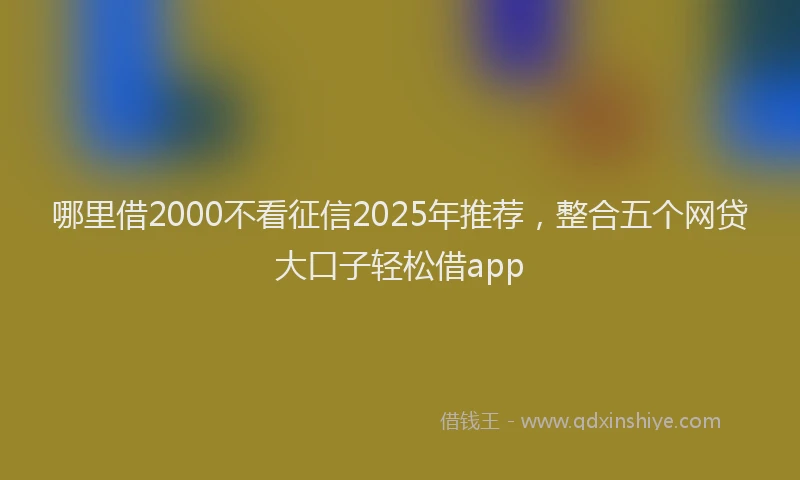 哪里借2000不看征信2025年推荐，整合五个网贷大口子轻松借app