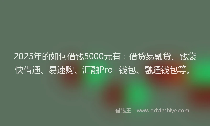 2025年的如何借钱5000元有：借贷易融贷、钱袋快借通、易速购、汇融Pro+钱包、融通钱包等。