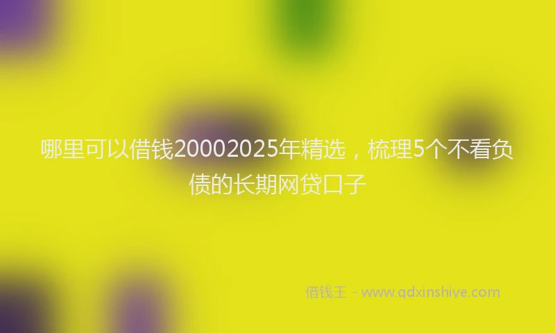 哪里可以借钱20002025年精选，梳理5个不看负债的长期网贷口子