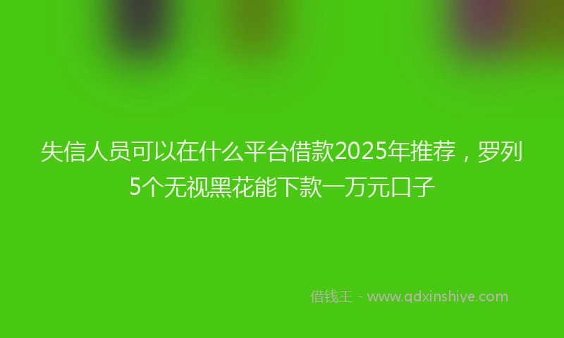 失信人员可以在什么平台借款2025年推荐，罗列5个无视黑花能下款一万元口子