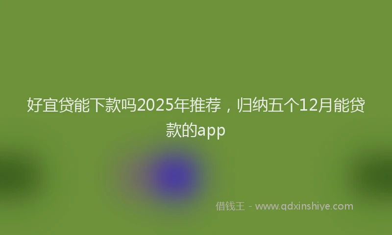 好宜贷能下款吗2025年推荐，归纳五个12月能贷款的app