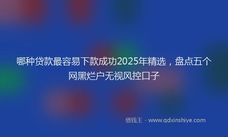 哪种贷款最容易下款成功2025年精选，盘点五个网黑烂户无视风控口子