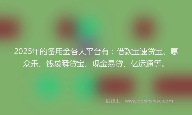 2025年的备用金各大平台有：借款宝速贷宝、惠众乐、钱袋瞬贷宝、现金易贷、亿运通等。