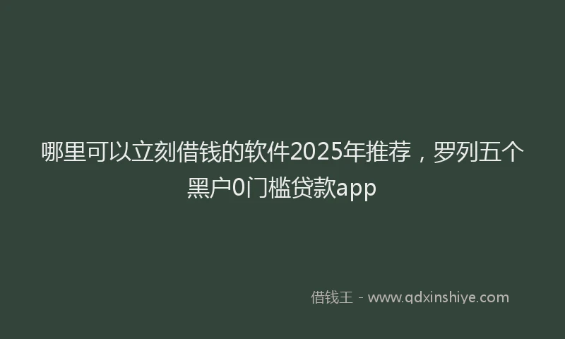 哪里可以立刻借钱的软件2025年推荐，罗列五个黑户0门槛贷款app