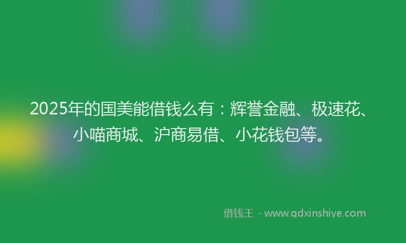2025年的国美能借钱么有：辉誉金融、极速花、小喵商城、沪商易借、小花钱包等。