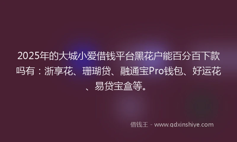 2025年的大城小爱借钱平台黑花户能百分百下款吗有：浙享花、珊瑚贷、融通宝Pro钱包、好运花、易贷宝盒等。
