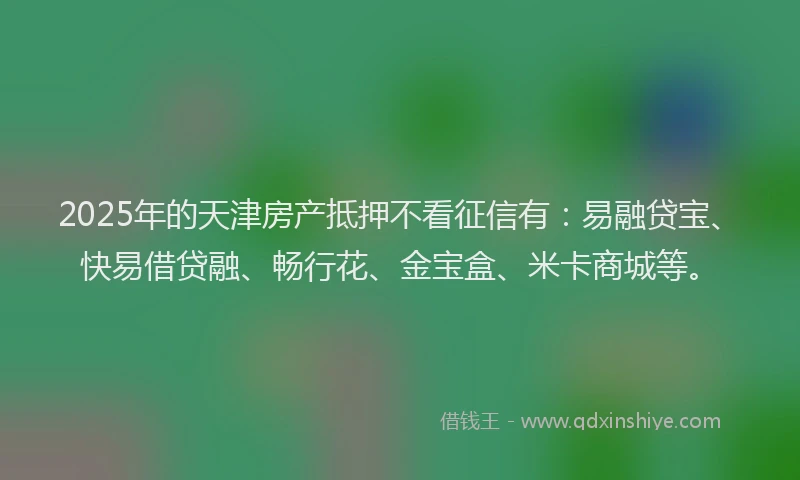 2025年的天津房产抵押不看征信有：易融贷宝、快易借贷融、畅行花、金宝盒、米卡商城等。