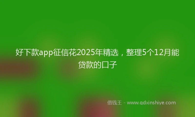 好下款app征信花2025年精选，整理5个12月能贷款的口子