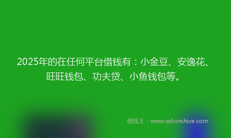 2025年的在任何平台借钱有：小金豆、安逸花、旺旺钱包、功夫贷、小鱼钱包等。