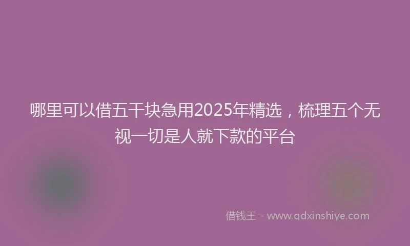 哪里可以借五干块急用2025年精选，梳理五个无视一切是人就下款的平台