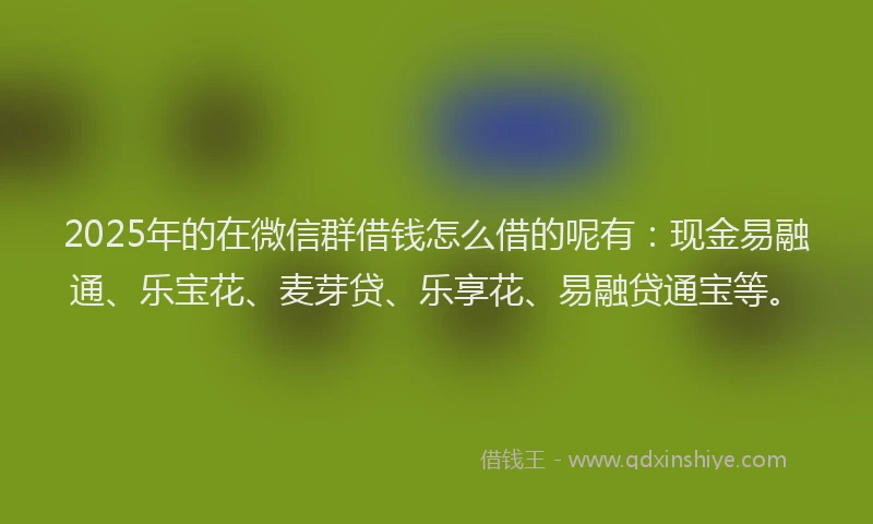 2025年的在微信群借钱怎么借的呢有：现金易融通、乐宝花、麦芽贷、乐享花、易融贷通宝等。