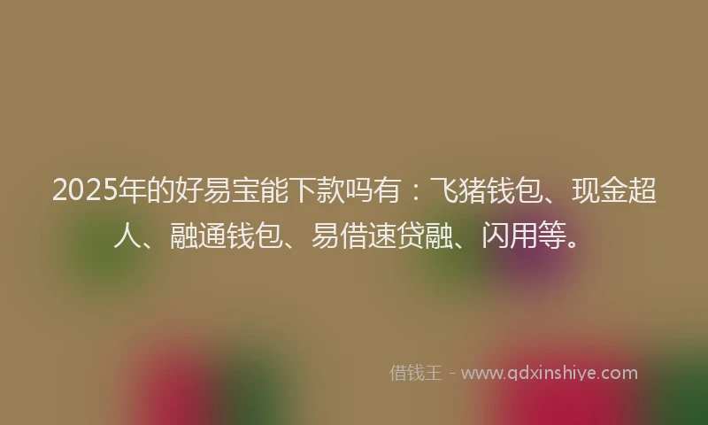 2025年的好易宝能下款吗有：飞猪钱包、现金超人、融通钱包、易借速贷融、闪用等。