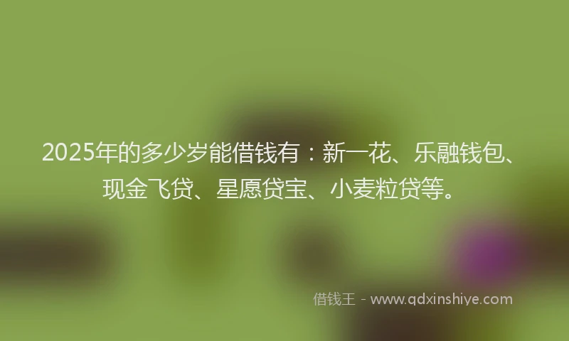 2025年的多少岁能借钱有：新一花、乐融钱包、现金飞贷、星愿贷宝、小麦粒贷等。