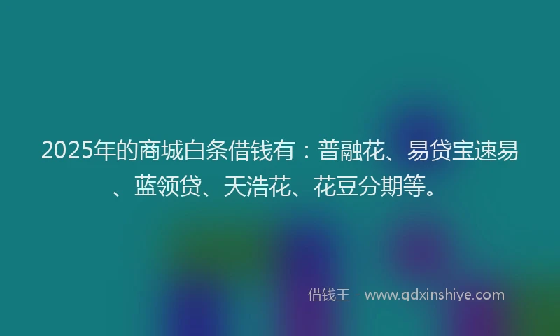 2025年的商城白条借钱有：普融花、易贷宝速易、蓝领贷、天浩花、花豆分期等。