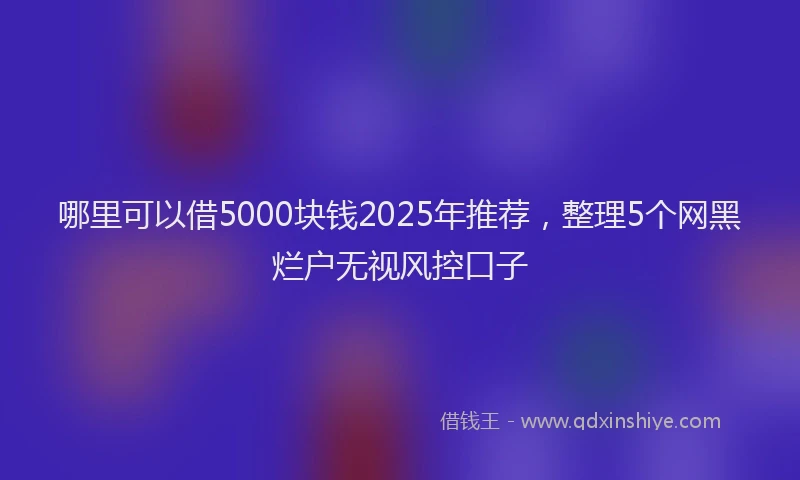 哪里可以借5000块钱2025年推荐，整理5个网黑烂户无视风控口子