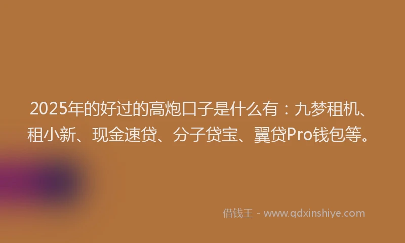 2025年的好过的高炮口子是什么有：九梦租机、租小新、现金速贷、分子贷宝、翼贷Pro钱包等。