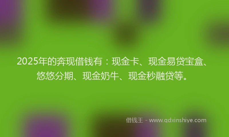 2025年的奔现借钱有：现金卡、现金易贷宝盒、悠悠分期、现金奶牛、现金秒融贷等。