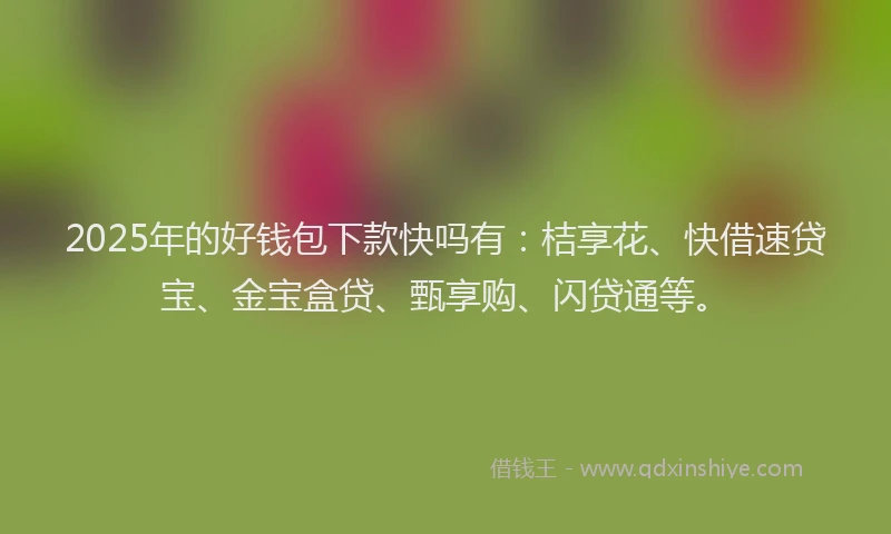2025年的好钱包下款快吗有：桔享花、快借速贷宝、金宝盒贷、甄享购、闪贷通等。