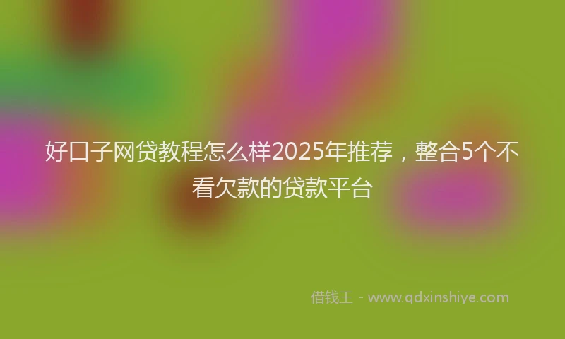 好口子网贷教程怎么样2025年推荐，整合5个不看欠款的贷款平台