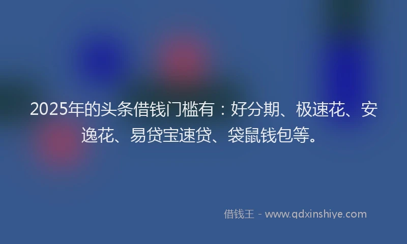 2025年的头条借钱门槛有：好分期、极速花、安逸花、易贷宝速贷、袋鼠钱包等。