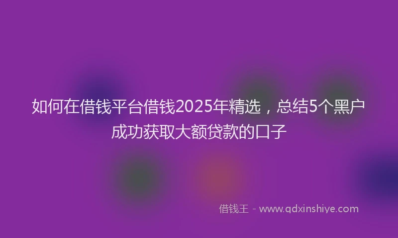 如何在借钱平台借钱2025年精选，总结5个黑户成功获取大额贷款的口子