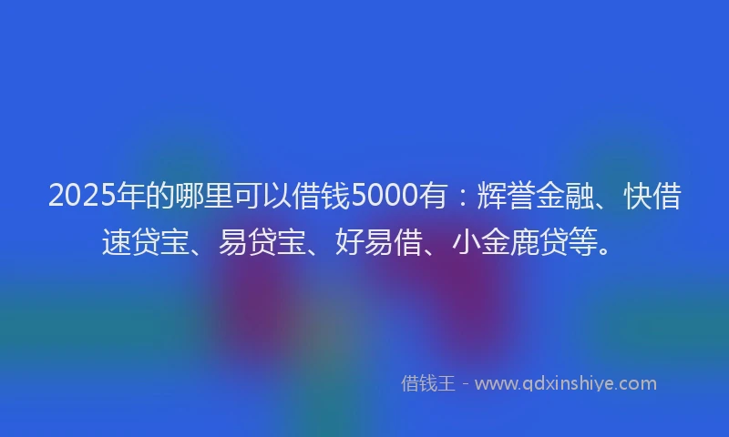 2025年的哪里可以借钱5000有：辉誉金融、快借速贷宝、易贷宝、好易借、小金鹿贷等。