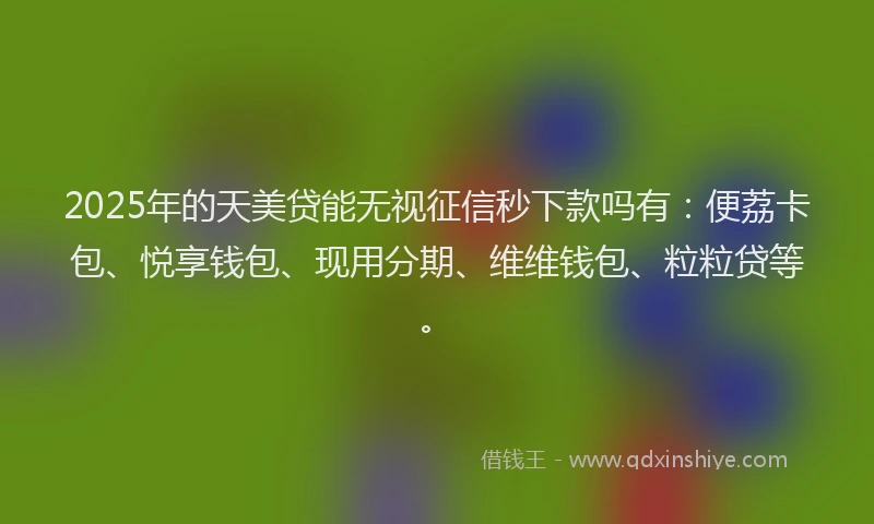 2025年的天美贷能无视征信秒下款吗有：便荔卡包、悦享钱包、现用分期、维维钱包、粒粒贷等。