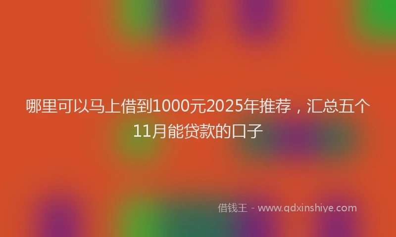哪里可以马上借到1000元2025年推荐，汇总五个11月能贷款的口子