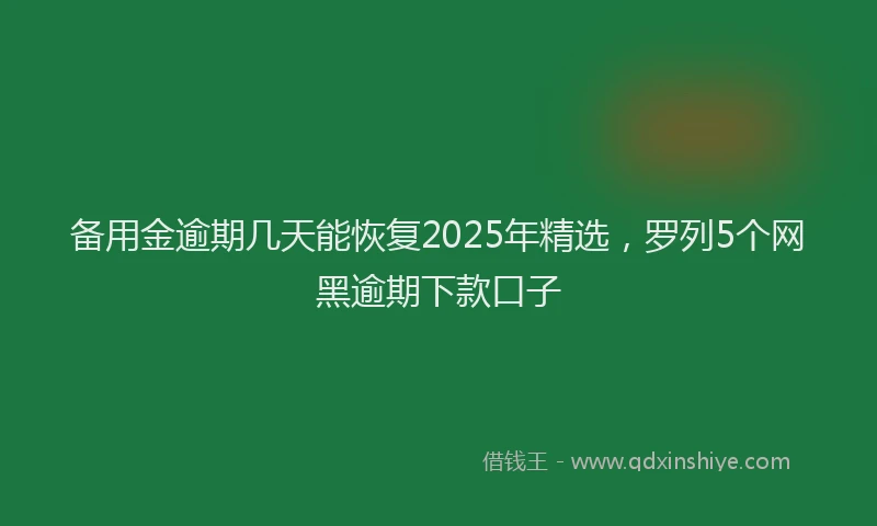 备用金逾期几天能恢复2025年精选，罗列5个网黑逾期下款口子