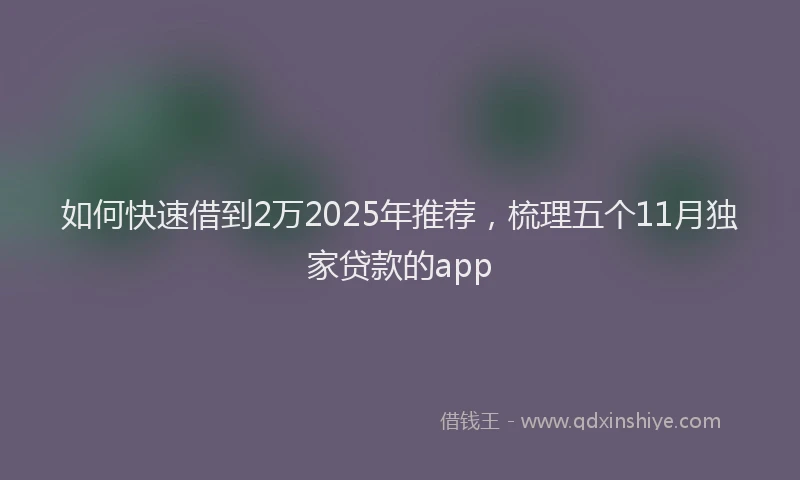 如何快速借到2万2025年推荐，梳理五个11月独家贷款的app