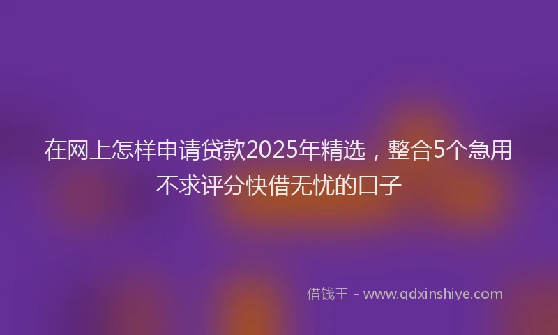 在网上怎样申请贷款2025年精选，整合5个急用不求评分快借无忧的口子