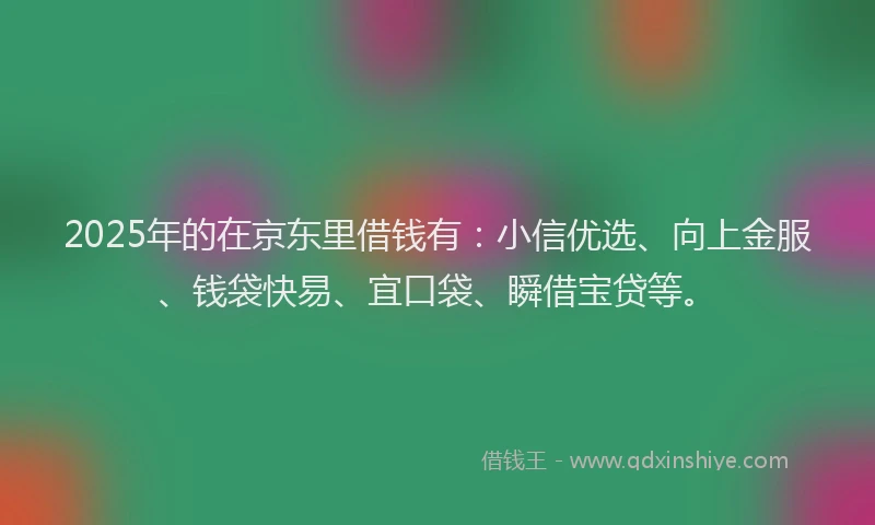 2025年的在京东里借钱有：小信优选、向上金服、钱袋快易、宜口袋、瞬借宝贷等。