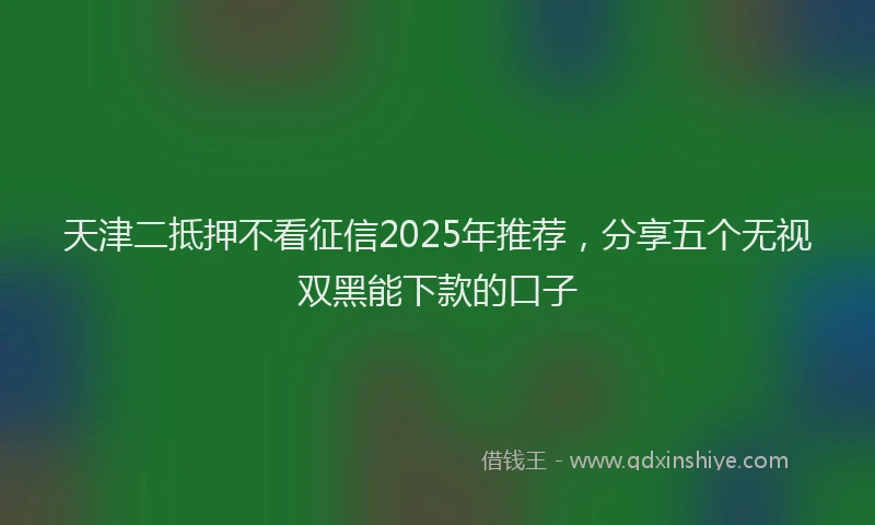 天津二抵押不看征信2025年推荐，分享五个无视双黑能下款的口子
