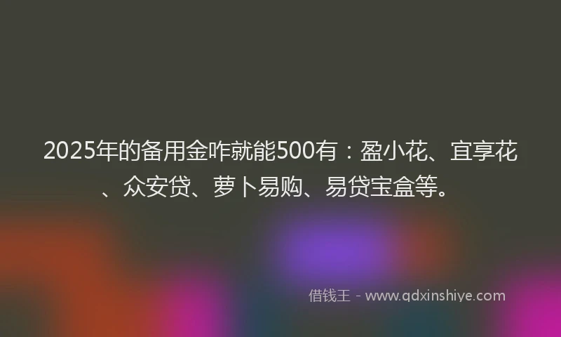 2025年的备用金咋就能500有：盈小花、宜享花、众安贷、萝卜易购、易贷宝盒等。