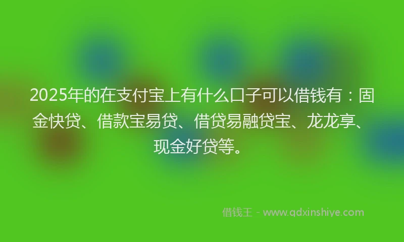 2025年的在支付宝上有什么口子可以借钱有：固金快贷、借款宝易贷、借贷易融贷宝、龙龙享、现金好贷等。