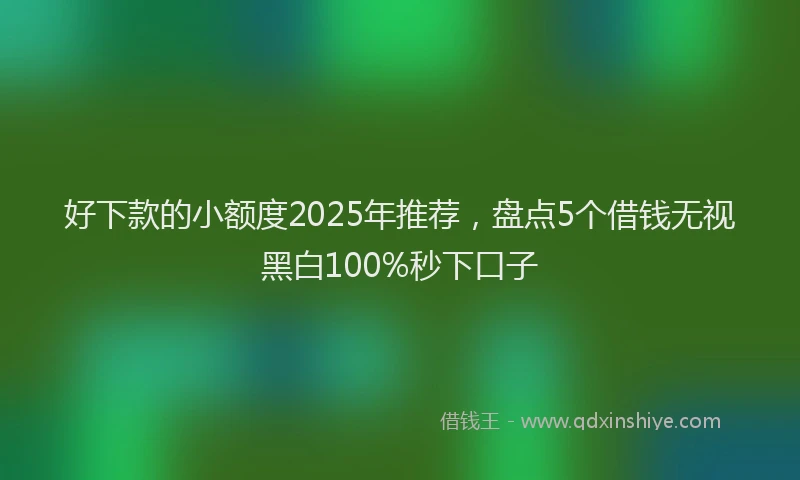 好下款的小额度2025年推荐，盘点5个借钱无视黑白100%秒下口子