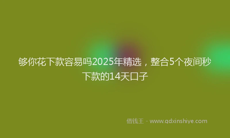 够你花下款容易吗2025年精选，整合5个夜间秒下款的14天口子