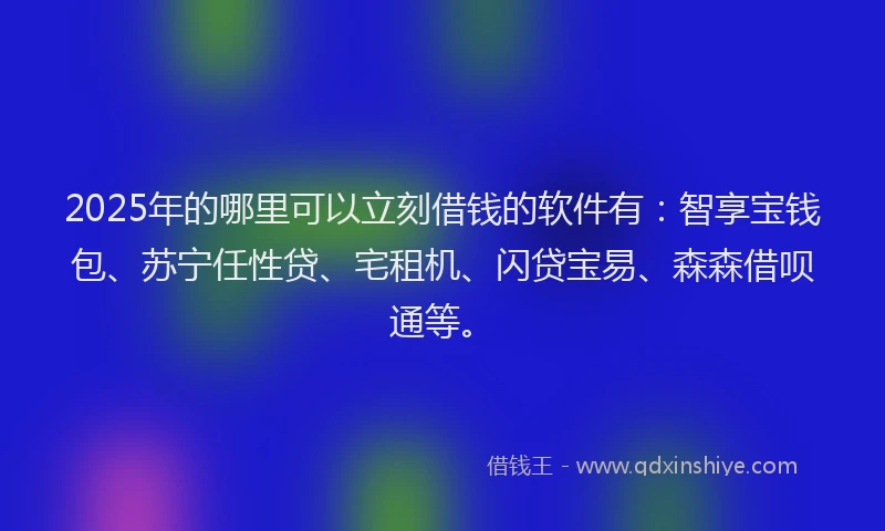 2025年的哪里可以立刻借钱的软件有：智享宝钱包、苏宁任性贷、宅租机、闪贷宝易、森森借呗通等。