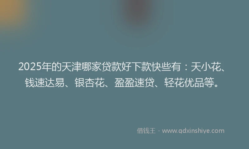 2025年的天津哪家贷款好下款快些有：天小花、钱速达易、银杏花、盈盈速贷、轻花优品等。