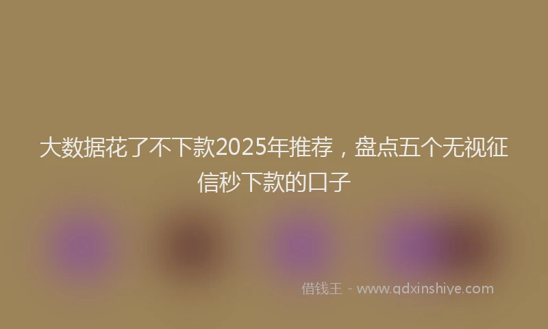 大数据花了不下款2025年推荐，盘点五个无视征信秒下款的口子