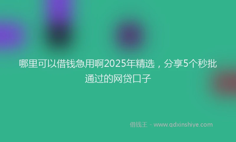 哪里可以借钱急用啊2025年精选，分享5个秒批通过的网贷口子