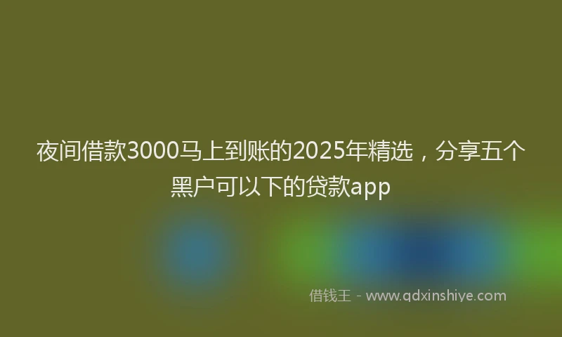 夜间借款3000马上到账的2025年精选，分享五个黑户可以下的贷款app