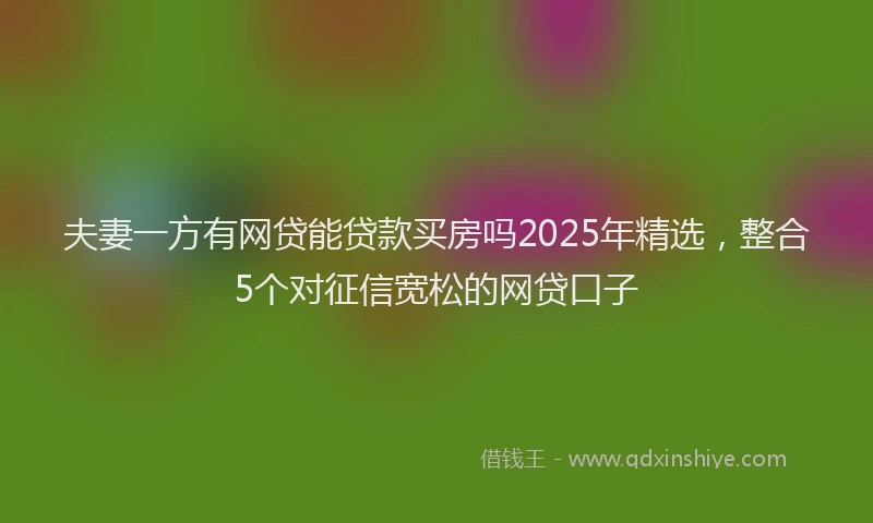 夫妻一方有网贷能贷款买房吗2025年精选，整合5个对征信宽松的网贷口子