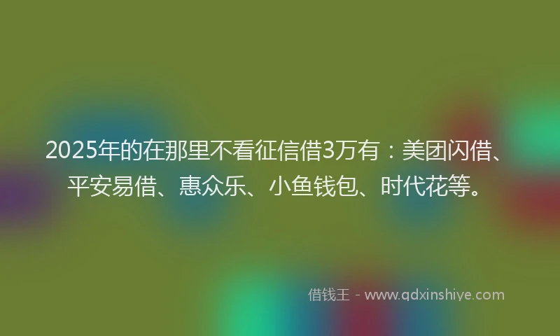 2025年的在那里不看征信借3万有：美团闪借、平安易借、惠众乐、小鱼钱包、时代花等。