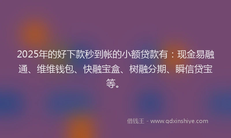 2025年的好下款秒到帐的小额贷款有：现金易融通、维维钱包、快融宝盒、树融分期、瞬信贷宝等。