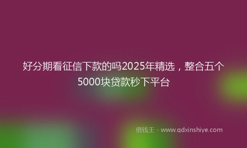 好分期看征信下款的吗2025年精选，整合五个5000块贷款秒下平台
