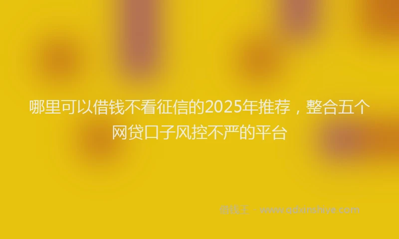 哪里可以借钱不看征信的2025年推荐，整合五个网贷口子风控不严的平台