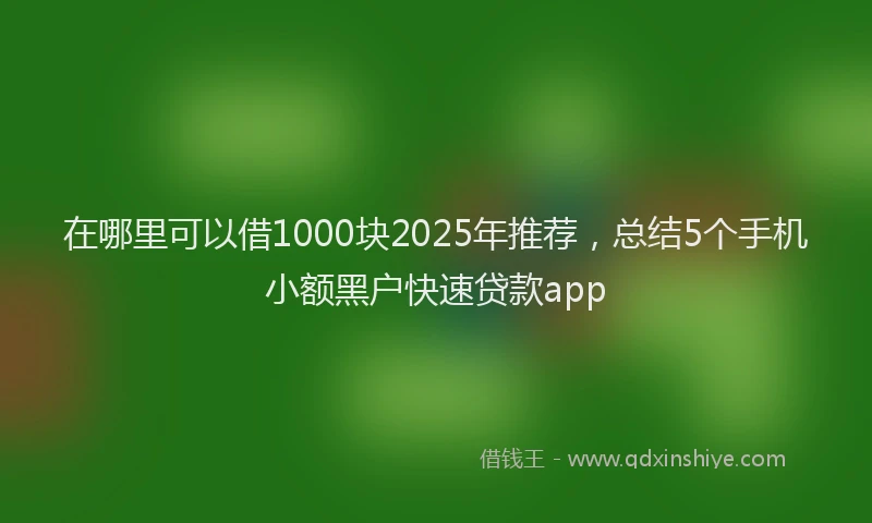 在哪里可以借1000块2025年推荐，总结5个手机小额黑户快速贷款app