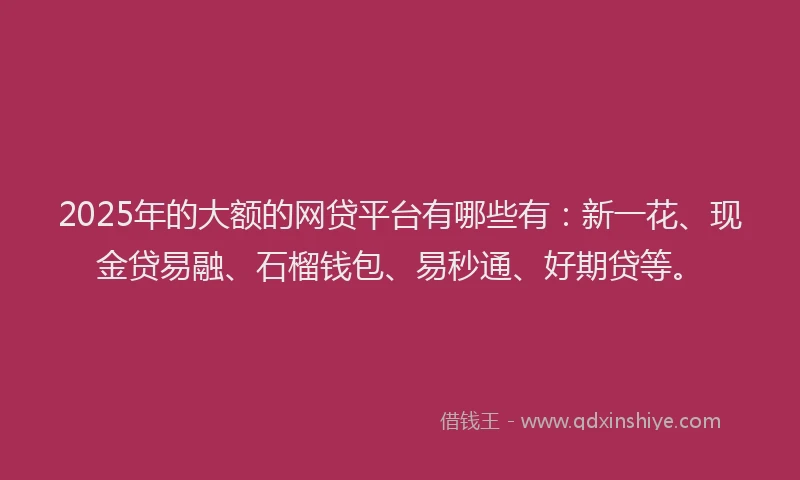 2025年的大额的网贷平台有哪些有：新一花、现金贷易融、石榴钱包、易秒通、好期贷等。